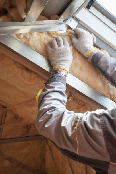 Best Attic Insulation Installation  in West Chicago, IL