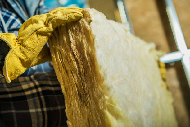 Best Insulation Contractors for Homes  in West Chicago, IL