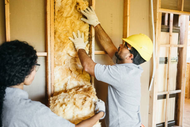 Best Wall Insulation Contractor  in West Chicago, IL