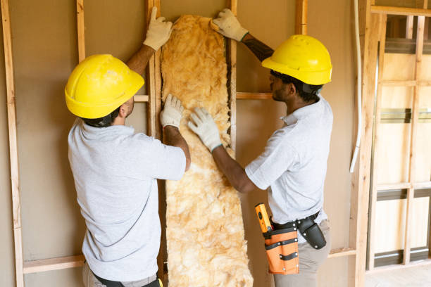 Insulation Repair Services in West Chicago, IL