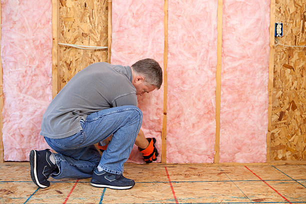 Best Home Insulation Services  in West Chicago, IL