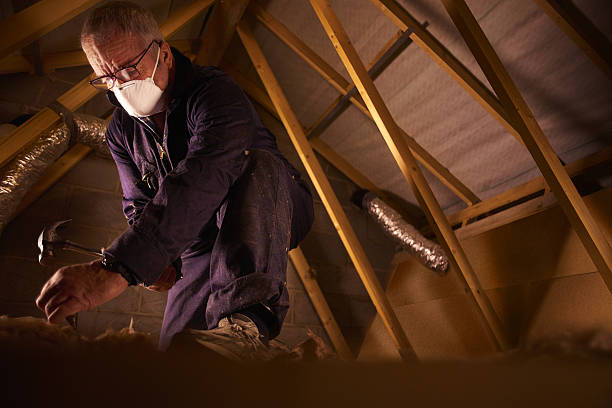 Best Attic Insulation Installation  in West Chicago, IL